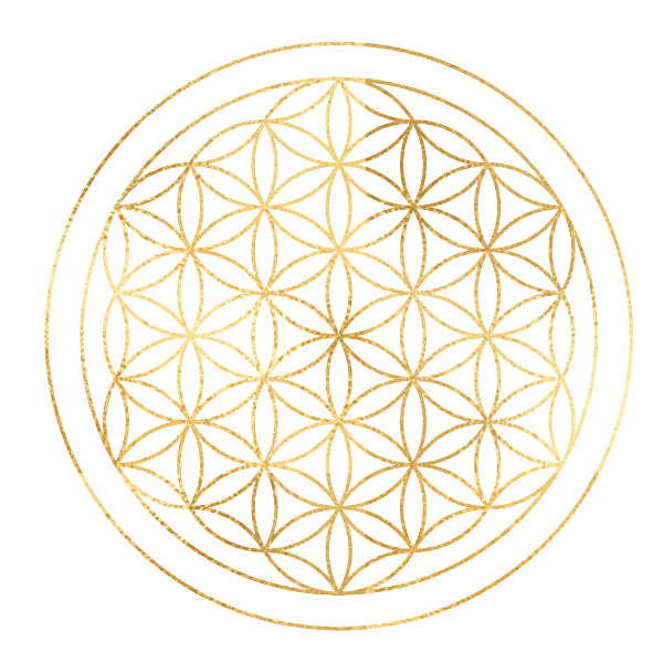 La Flor de la Vida trazada sobre una retícula de círculos iguales